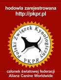 pkpr-pzk